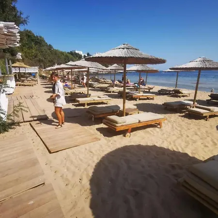 Flores Garden - Menada Chernomorets